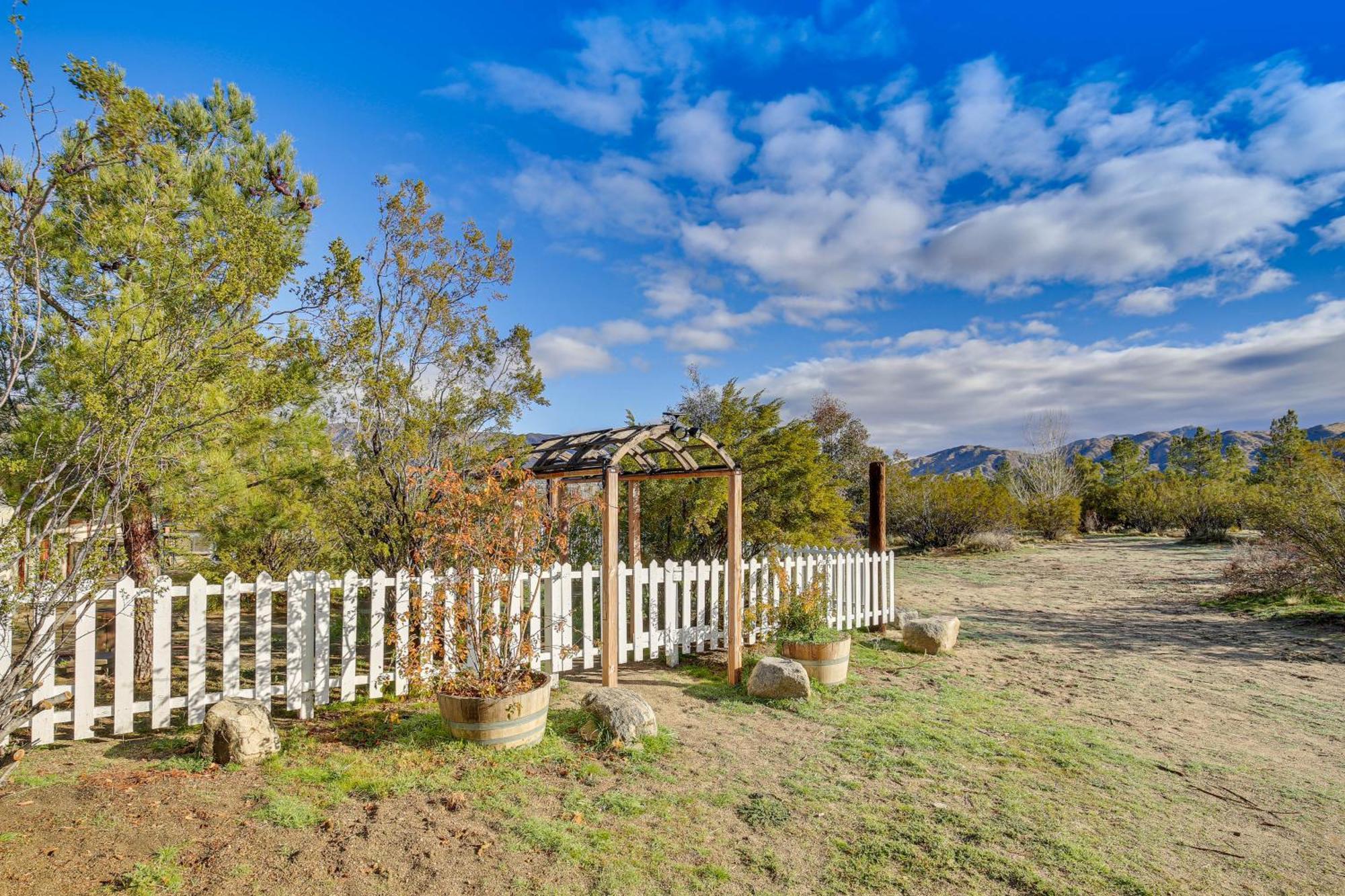 Mountain-View Morongo Valley Cabin Quiet Setting! Villa Exterior photo